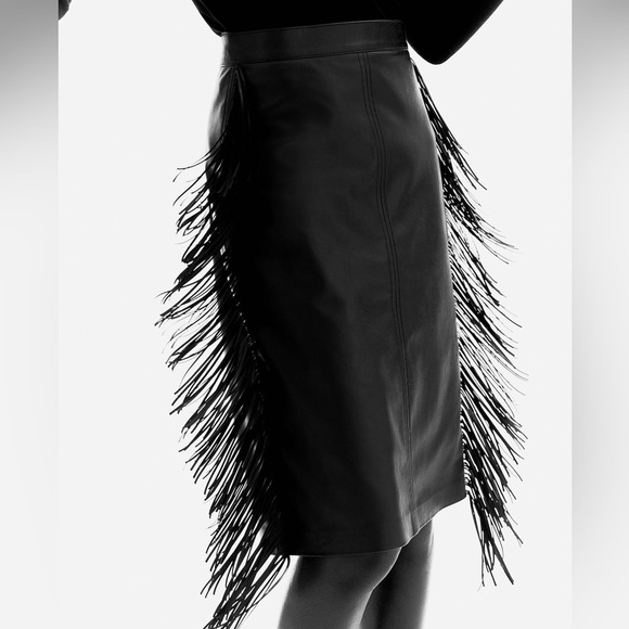 H&M NWT COATED SKIRT WITH FRINGE - Picture 3 of 7